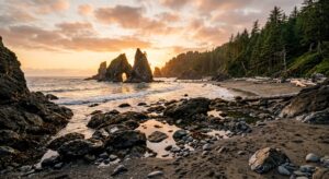 A quiet Pacific Northwest beach at sunset with dark sea stacks rising from the water and evergreen trees bordering the sand.